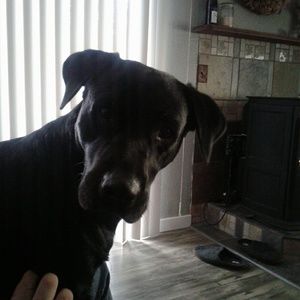 Meet your Posher, Tina